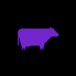 Purple Cow