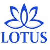 Lotus Recursos Humanos