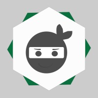 Ninja do Excel